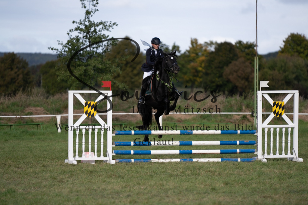 A7V06576 | Pferdefotograf