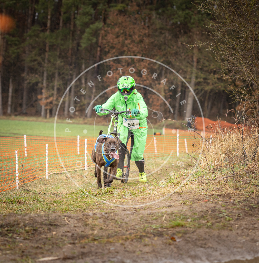 DV3A9526 | Hundefotografie, Tierfotograf, Pfotenfotografie, Fotoshooting Hund, Hunde Portrait, Hundesport, Hundeportraits, Heideshooting, Hunde, Sportfotograf, Hundefotograf, Turnierhundsport, THS,  - Realisiert mit Pictrs.com