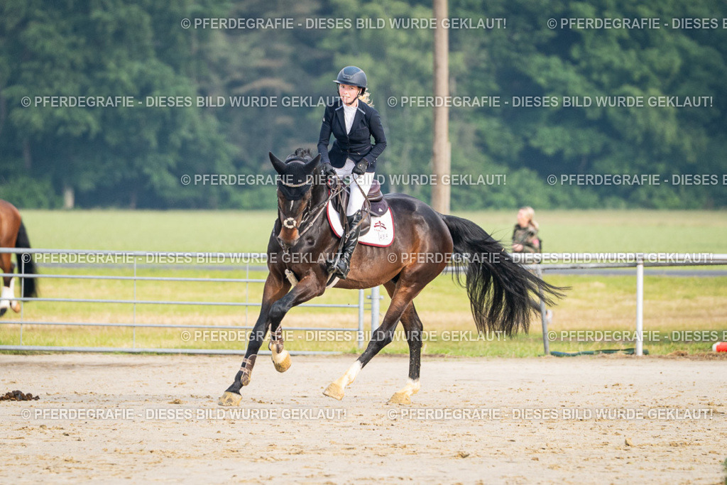 DSC07754 | Pferdegrafie