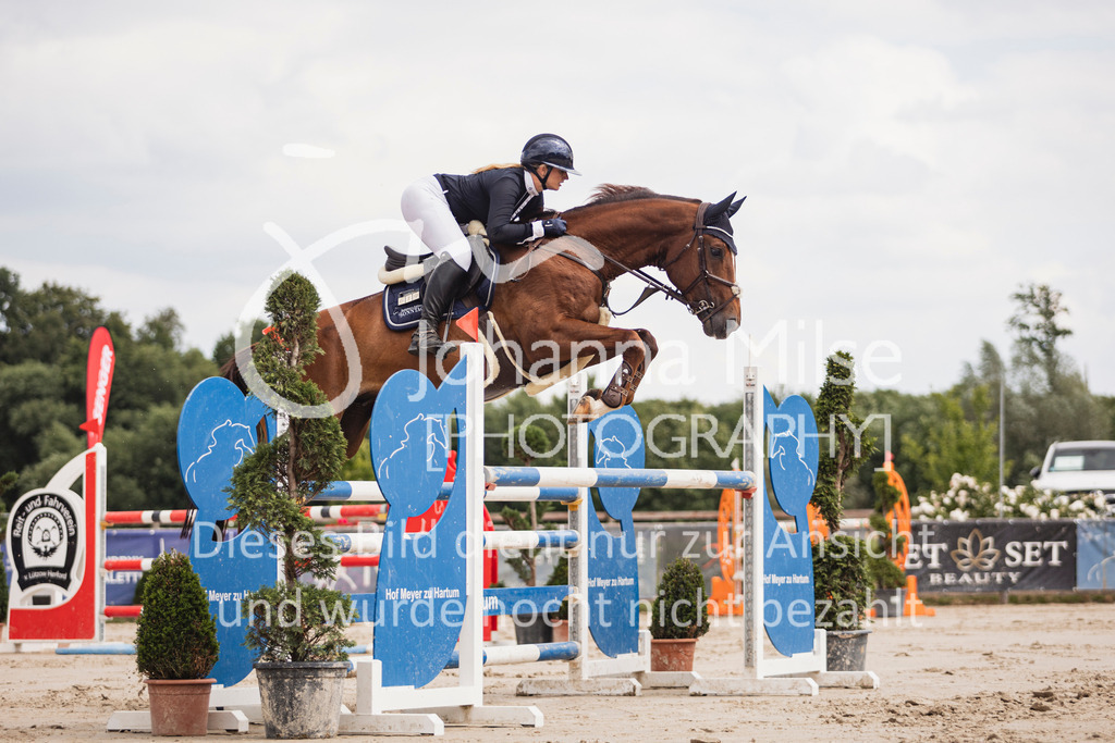 250629_PfSpTa_2Ph-M1-736 | Deine schönsten Turniermomente als professionelle Fotos! Entdecke hochwertige Pferdesport-Fotografie im Online-Shop. Jetzt Fotos finden & bestellen!