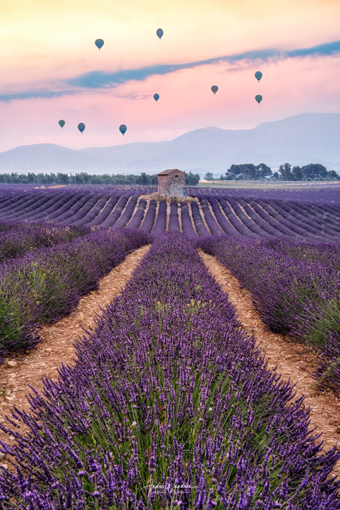 Ballonfahrer über dem Blütenmeer | Andre Wandrei - Nature Artworx - Realisiert mit Pictrs.com