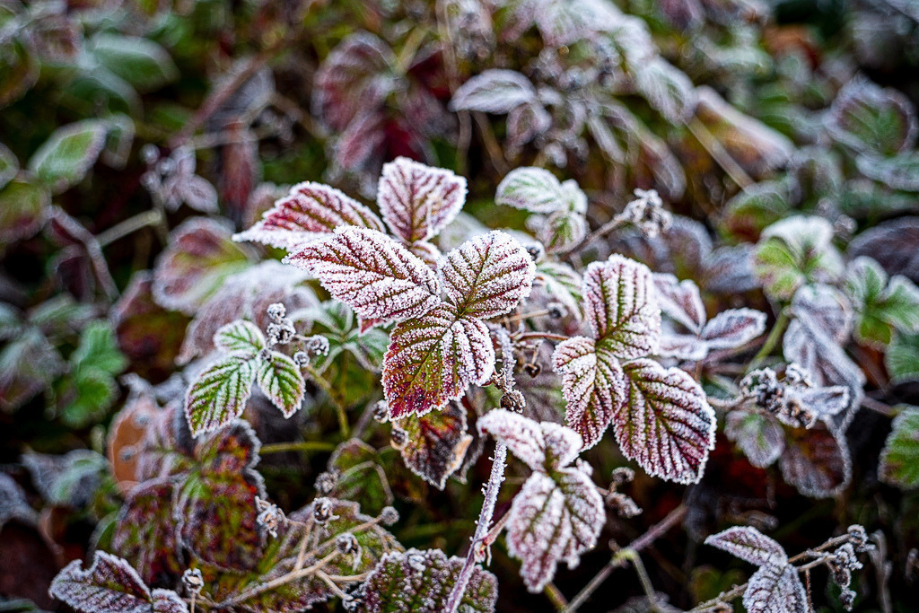 Wanderung von Bubendorf - Sissach | Schöne Fotografien aus der Stadt und der Natur zum bestellen oder selber hochladen. Druck auf Foto, Postkarte, Kalender, FineArt Hahnemühle, Alu-Dibond , Akustikbilder zur Absorption von Schall und Lärm etc. - Realisiert mit Pictrs.com