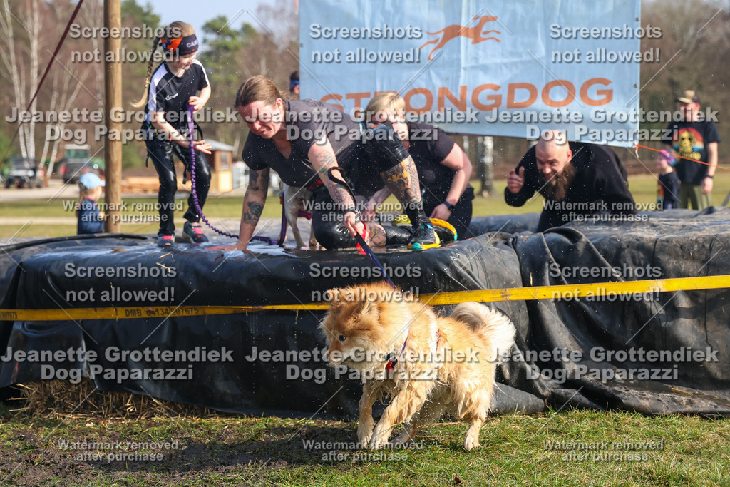 Dog Paparazzi - Strongdog North Mrz26-2106 | Dog Paparazzi Jeanette Grottendiek Fotografie & Videografie - Realisiert mit Pictrs.com