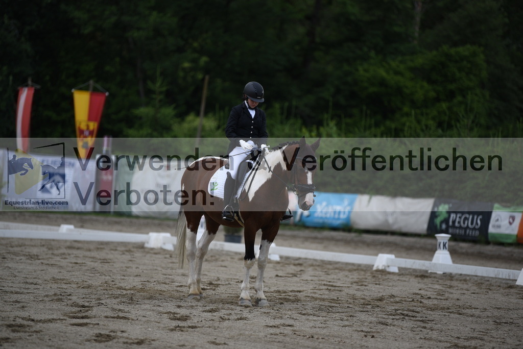 DSC_6465 | equestrian-live-com