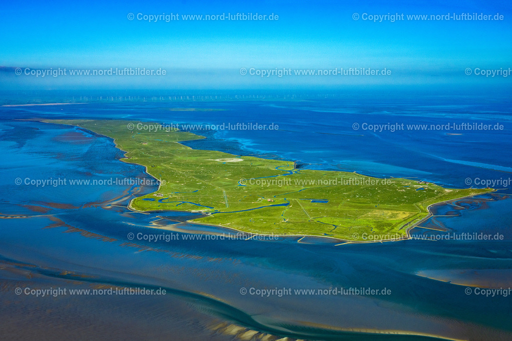 Langeness_Hallig_ELS_0811300523 | LANGENEß 30.05.2023 Grasflächen- Strukturen einer Hallig- Landschaft auf der Nordsee- Insel Nordmarsch-Langeneß in Langeneß Nordfriesland im Bundesland Schleswig-Holstein. Weiterführende Informationen bei: Ge-mein-de Lan-ge-neß. // Green space structures a Hallig Landscape in Langeness in the state Schleswig-Holstein. Further information at: Ge-mein-de Lan-ge-ness. Foto: Martin Elsen