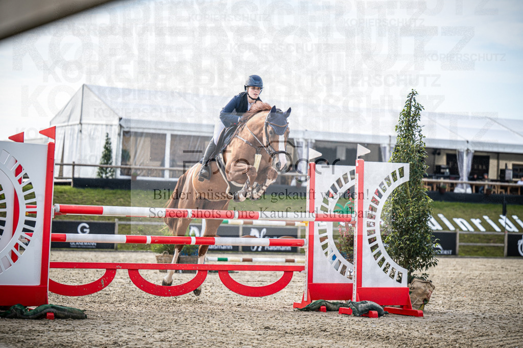 DOS_6537 | Entdecke hochwertige Reitturnierfotos von Foto Oger. Professionell, emotional und authentisch – jetzt Lieblingsmomente im Shop bestellen.Deutschlandweite Turnierfotografie. - Realisiert mit Pictrs.com