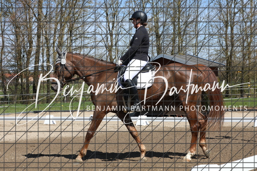 AZ2A4217 | Benjamin Bartmann Photomoments