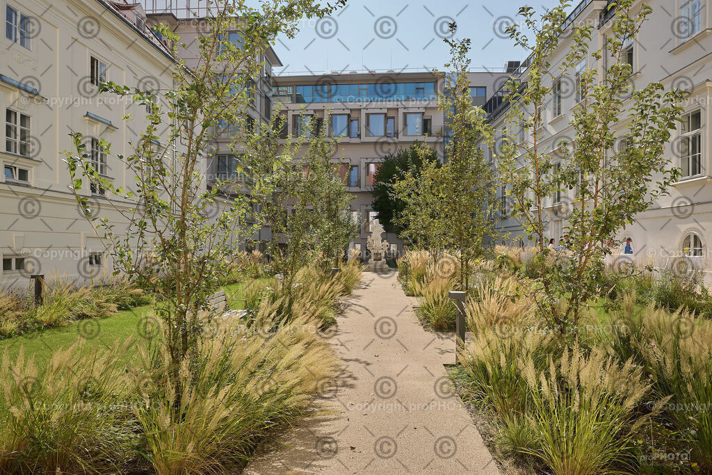 154_202409_ElisabethinenSpital_NZ9_3681 | proPHOTO - Realisiert mit Pictrs.com