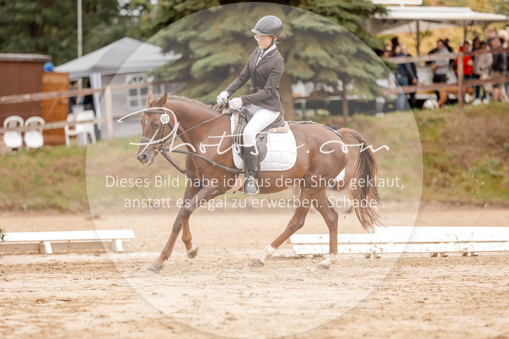 3I6A8377 | Stimmungsvolle Portraits und Reitsportfotografie im Ruhrgebiet und im Münsterland.

Pferdefotografie, Hundefotografie, Tierfotografie, Reportagen, Portraits von Tier und Mensch, Turnierfotografie in Bochum, Recklinghausen, Marl, Haltern am See, Dülmen.. - Realisiert mit Pictrs.com