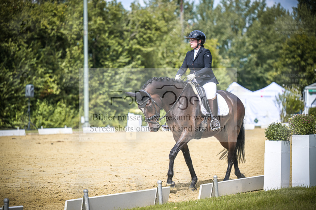 DOS_4150 | Entdecke hochwertige Reitturnierfotos von Foto Oger. Professionell, emotional und authentisch – jetzt Lieblingsmomente im Shop bestellen. - Realisiert mit Pictrs.com