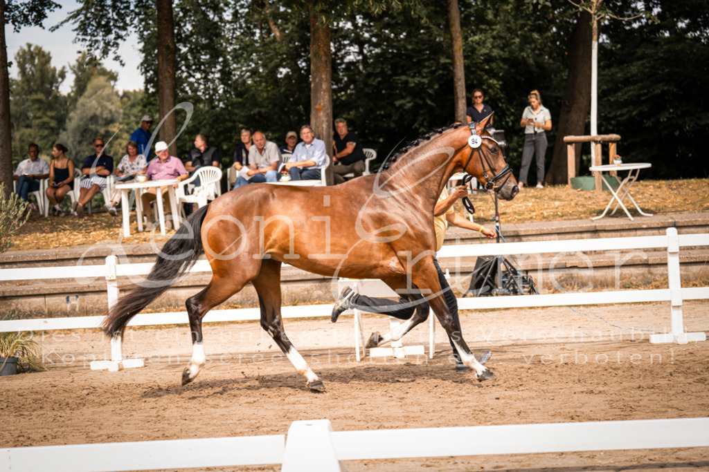 6.Fr00141 | Leoni Ertmer Photography - Realisiert mit Pictrs.com