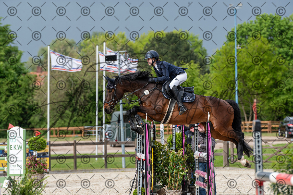 KPT_0228 | andre_photographic