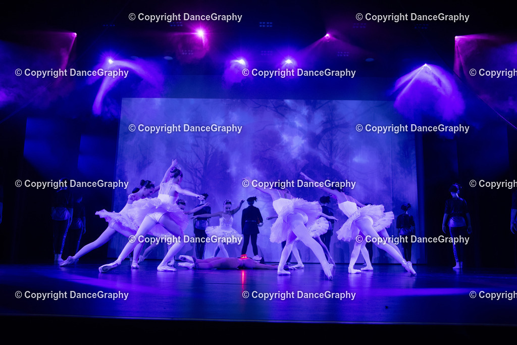 GPHY2804 | DanceGraphy - Realisiert mit Pictrs.com