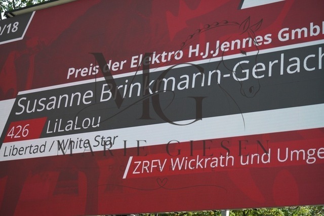 VAN02370 | Pferdefotografie in Köln und Umgebung – emotionale Pferdeshootings, Turnierfotografie und besondere Momente zwischen Pferd und Mensch. - Realisiert mit Pictrs.com
