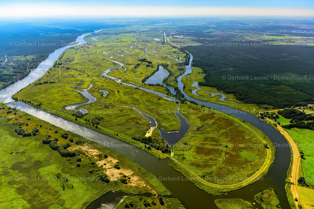 3637539 | Nationalpark Unteres Odertal  bei FRIEDRICHSTHAL 25.08.2016 Grasflächen- Strukturen einer Wiesen- und Feld Landschaft in der Auen- Niederung am Ufer des Flußverlaufes der Oder in Friedrichsthal im Bundesland Brandenburg, Deutschland // Grassland structures of a meadow and field landscape in the lowland on the banks of the river Oder in Friedrichsthal in the state Brandenburg, Germany Foto: Gerhard Launer