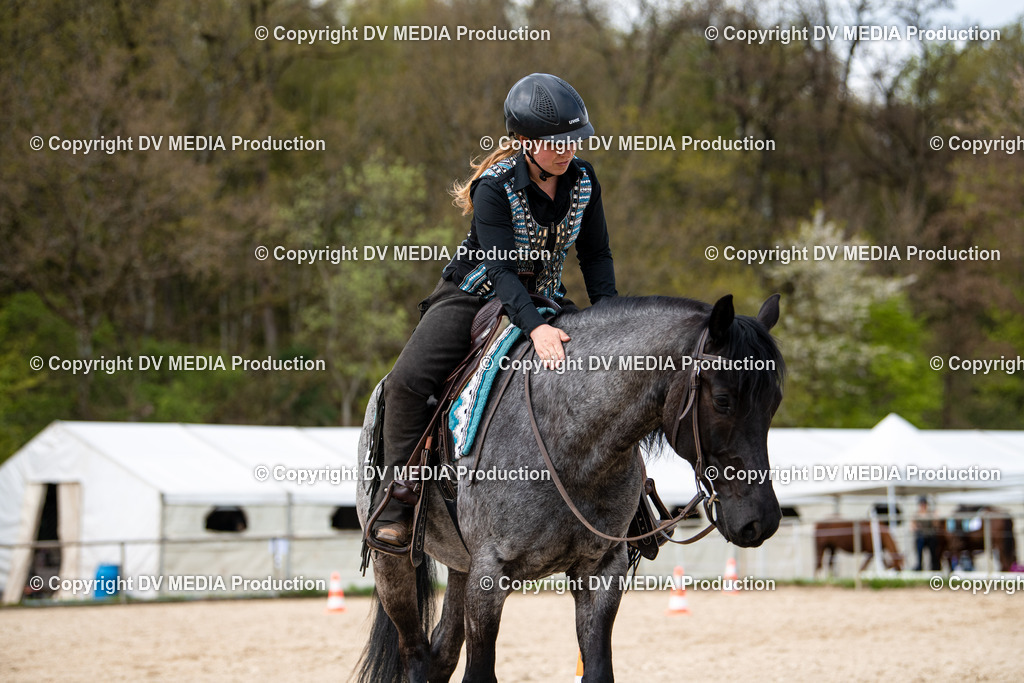 Heiligenwald Tag 1-722 | dv-media-shop - Realisiert mit Pictrs.com