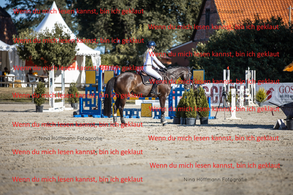 BK1A7575 | Turnierbilder Turnierfotos Nina Hüffmann Turnierfotografie Pferdefotografie Tierzeichnung Haustierzeichnung Pferdezeichnung Hundezeichnung Videograf  - Realisiert mit Pictrs.com