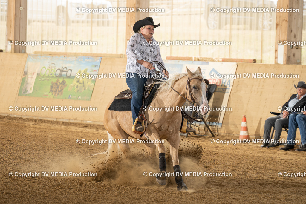 LAU01733 | dv-media-shop - Realisiert mit Pictrs.com