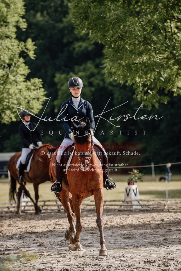 DSC_8903 | Pferde- und Turnierfotografie in Westsachsen. Pferdeportraits, Auftragszeichnungen und intuitive Kunst.