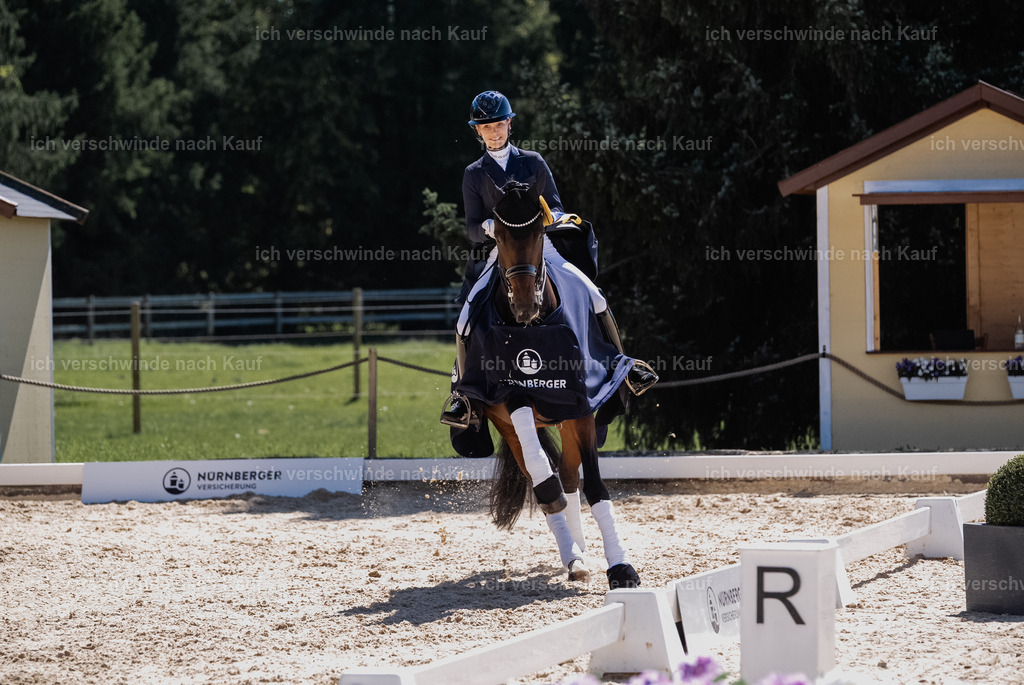 FHC2026_P12_Siegerehrung_13298 | working equitationturnier fotograf videograf stoibphotography marixx film working equitation deutschland reitsport turnierfotografie eventfotografie equestrian events