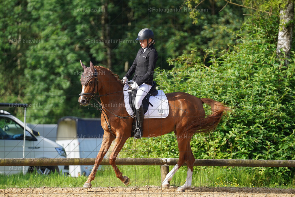 20240706-FAH04439 | Grafing Turnierfotos, Reitverein Ebersberg, Turnierfotografen Bayern, reitsportbilder, Pferdefotograf, reitsportfotograf, Sportbilder, Reitsportfotografie, Fotoagentur Herrmann, Turnierfotograf