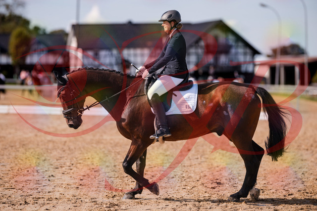 2026_10_03_Siefer-Hof_130212_Z81_55387679 | Professionelle Reitsport-, Turnier- und Eventfotografie von Robert Broda. Galerien mit ausgewählten und bearbeiteten Bildern direkt online ansehen und bestellen.