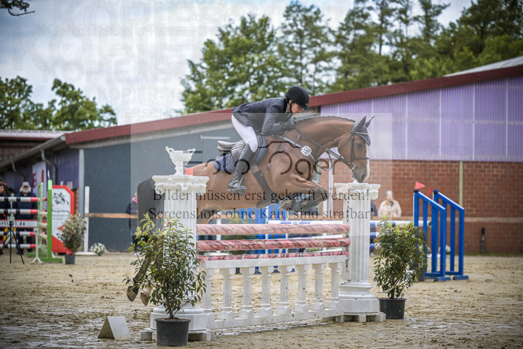 DOS_7199 | Entdecke hochwertige Reitturnierfotos von Foto Oger. Professionell, emotional und authentisch – jetzt Lieblingsmomente im Shop bestellen.Deutschlandweite Turnierfotografie. - Realisiert mit Pictrs.com