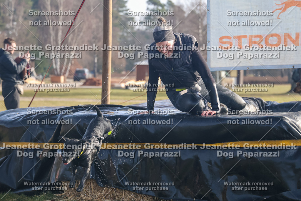 Dog Paparazzi - Strongdog North Mrz26-5 | Dog Paparazzi Jeanette Grottendiek Fotografie & Videografie - Realisiert mit Pictrs.com