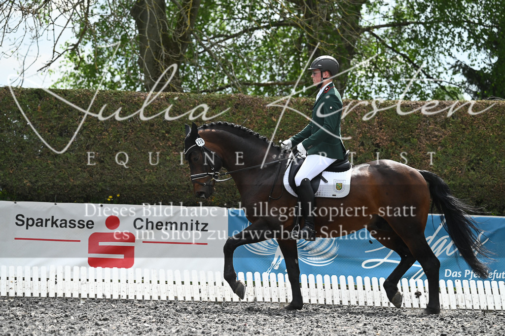 20230512_JK-Röhrsdorf-08-090 | Pferde- und Turnierfotografie in Westsachsen. Pferdeportraits, Auftragszeichnungen und intuitive Kunst.