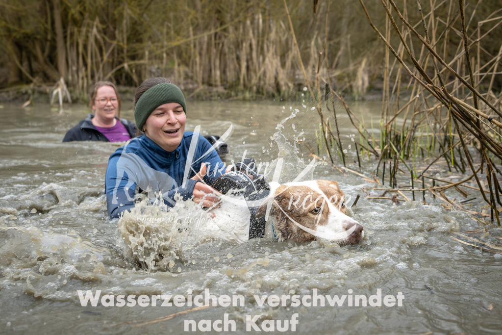 1353_ZZ93991 | kk-dogfotos