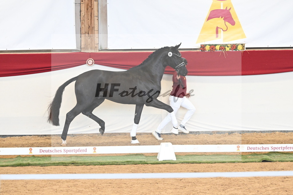 Kat.-Nr. 64 v. Fürst Samarant_Beckmann_3260925 | hf-fotografie - Realizzato con Pictrs.com