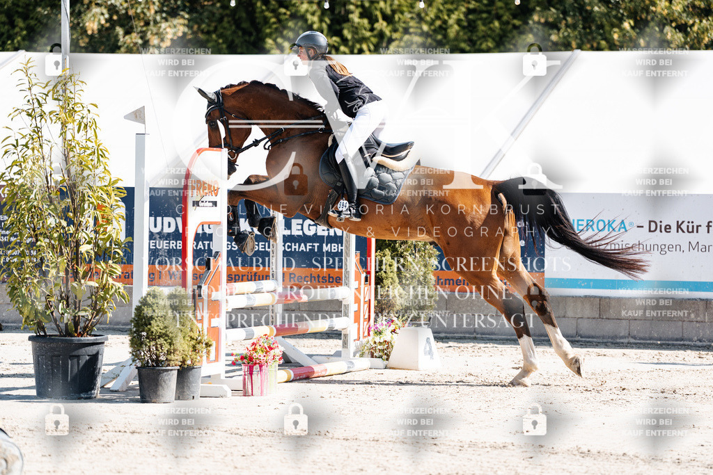CK905081 | Turnierfotografie Pferdefotografie Trier Rheinland-Pfalz Pferdesport Reitsport Tierfotografie Sportfotografie Pferdevideo Pferdevideografie Equestrianvideography equestrianphotography  - Realisiert mit Pictrs.com
