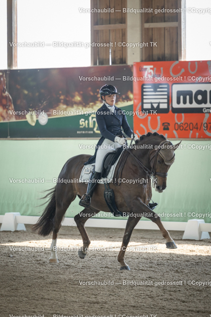 _D5A9210 | Emotionale Pferde- & People-Fotografie rund um Heidelberg, Leimen & Umgebung. Natürliche Fotos von Pferd, Mensch & Familie. Jetzt Termin sichern!