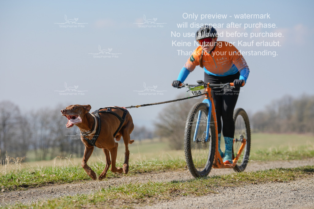 Scooter_Lang-93 | stephaniefillaphotographie - Realisiert mit Pictrs.com
