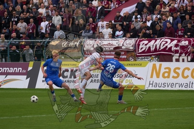 BFC Dynamo vs. VSG Altglienicke 032 | mythos-online-redaktion