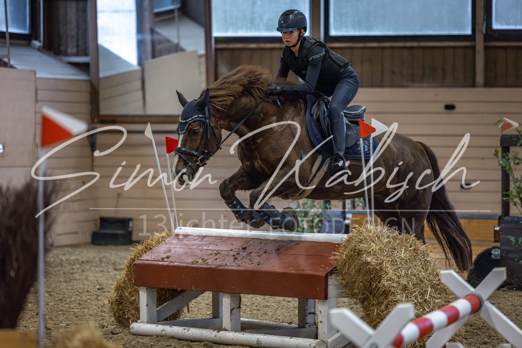 20260222-_3LI1189 | Tierfotografie Pferde, Hunde, Katzen, Haustiere.
Turnierfotografie Reitturniere, Reiten, Springreiten, Dressur in Hanau, dem Main-Kinzig-Kreis und dem Rhein-Main- Gebiet um Frankfurt