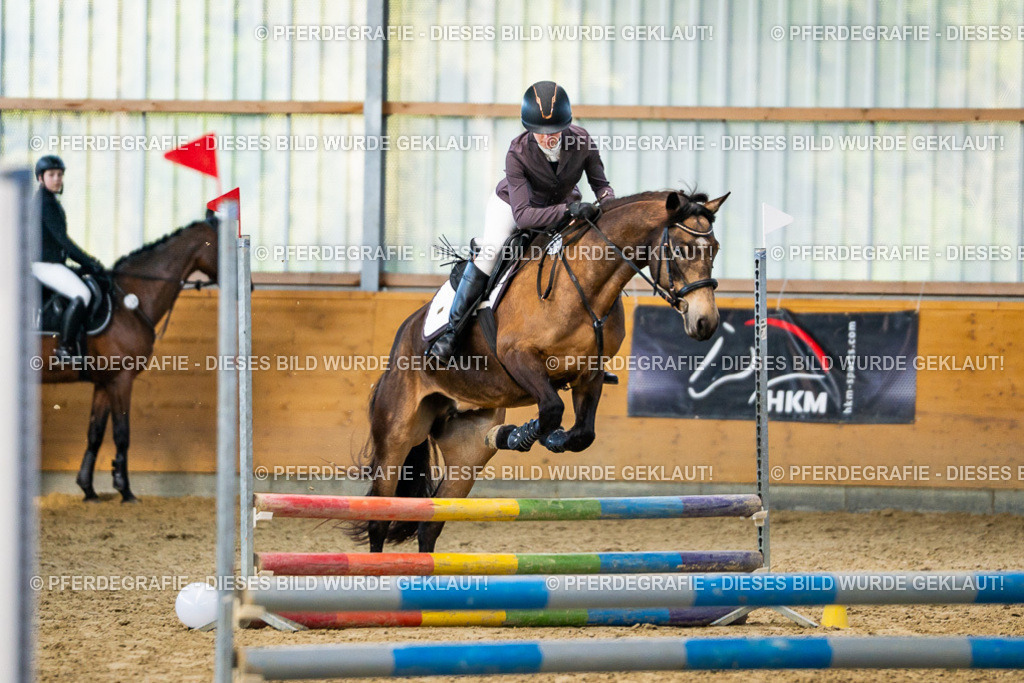 DSC01172 | Pferdegrafie