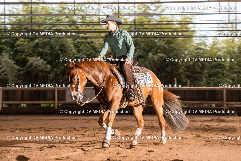 Erbach Tag 2-779 | dv-media-shop - Realisiert mit Pictrs.com