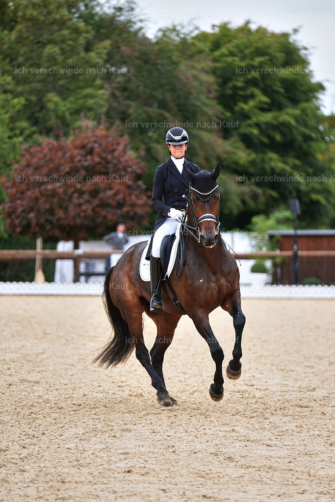 11-110-Dressur S___-Marixx-1545 | working equitationturnier fotograf videograf stoibphotography marixx film working equitation deutschland reitsport turnierfotografie eventfotografie equestrian events