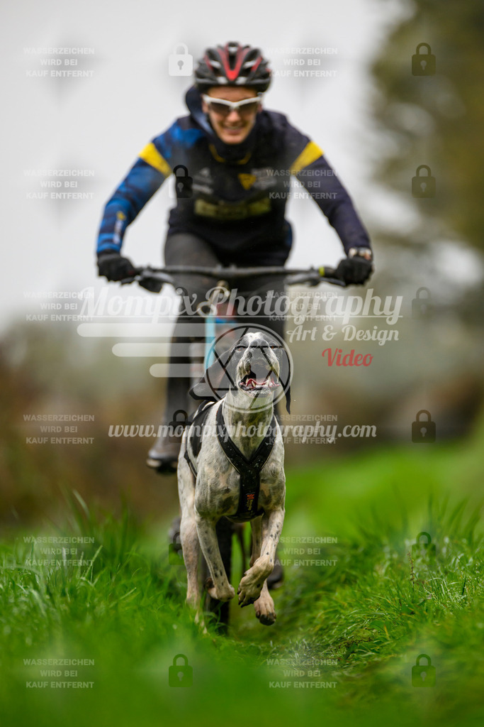 MompixPhotography_20TSB_E8_Bike-56 | PayLife