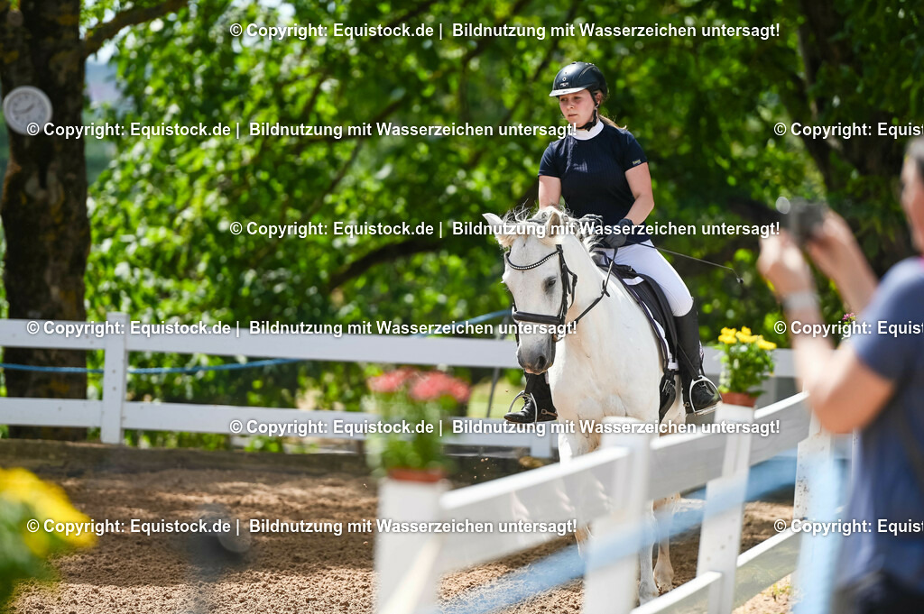 20230715_09_Dressur-WB_0072 | equistock