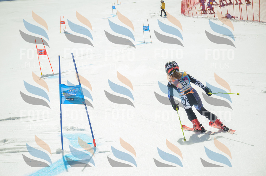 _ELE4623 | holidayphoto