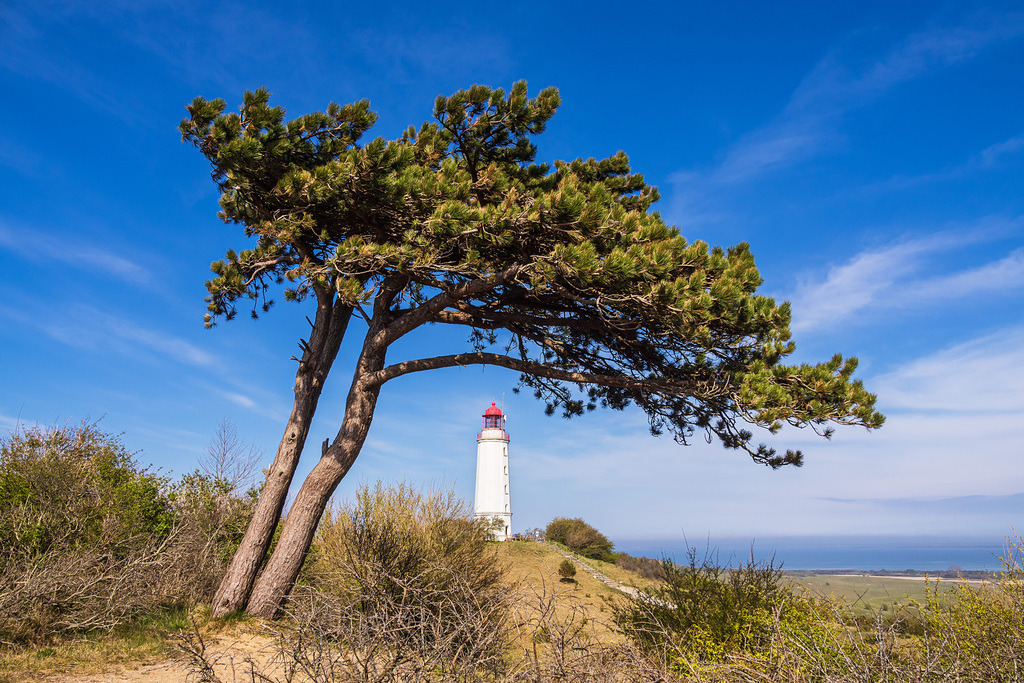 Der Leuchtturm Dornbusch auf der Insel Hiddensee | Der Leuchtturm Dornbusch auf der Insel Hiddensee.