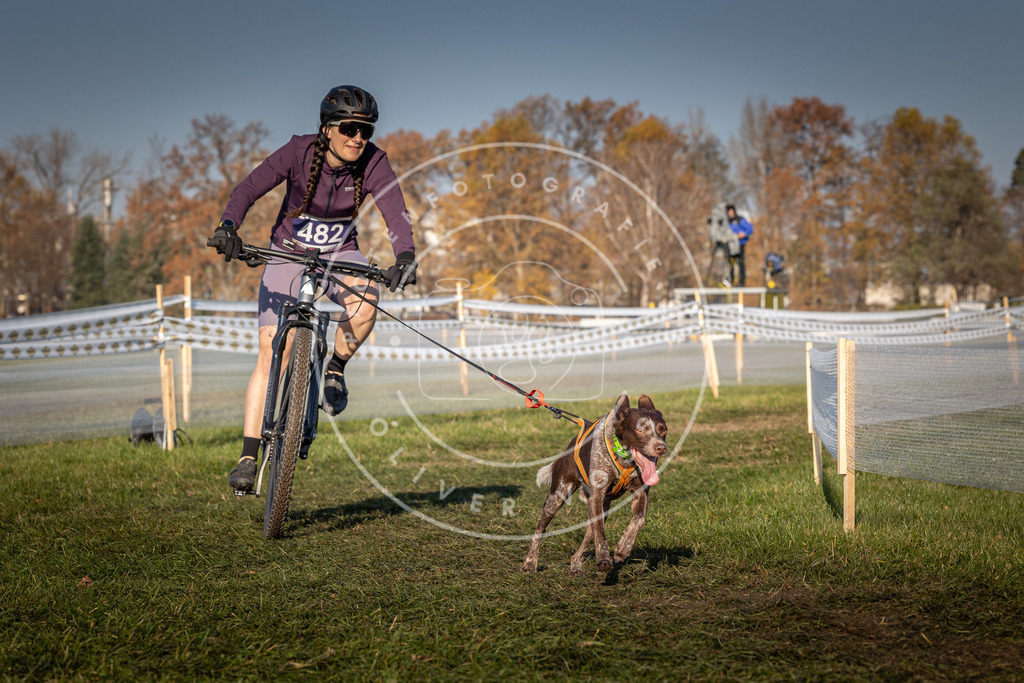 CaniXpix_0L8A4722 | Hundefotografie, Tierfotograf, Pfotenfotografie, Fotoshooting Hund, Hunde Portrait, Hundesport, Hundeportraits, Heideshooting, Hunde, Sportfotograf, Hundefotograf, Turnierhundsport, THS,  - Realisiert mit Pictrs.com