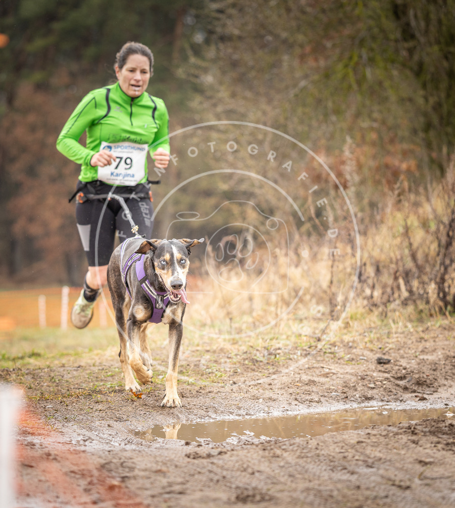 DV3A0327 | Hundefotografie, Tierfotograf, Pfotenfotografie, Fotoshooting Hund, Hunde Portrait, Hundesport, Hundeportraits, Heideshooting, Hunde, Sportfotograf, Hundefotograf, Turnierhundsport, THS,  - Realisiert mit Pictrs.com
