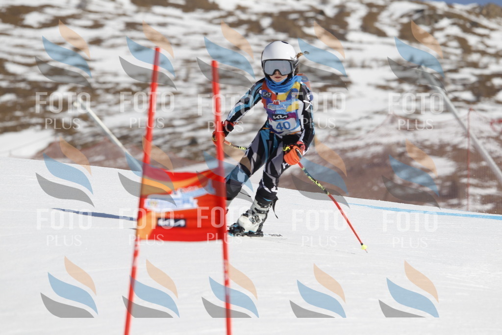 _U3G9225 | holidayphoto