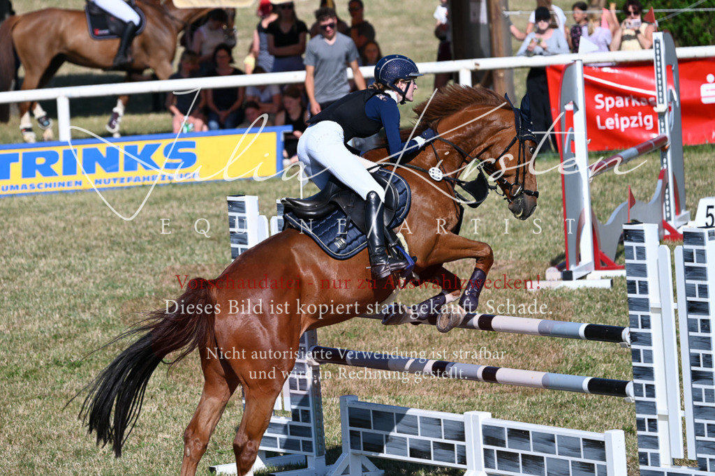 DSC_2333 | Pferde- und Turnierfotografie in Westsachsen. Pferdeportraits, Auftragszeichnungen und intuitive Kunst.