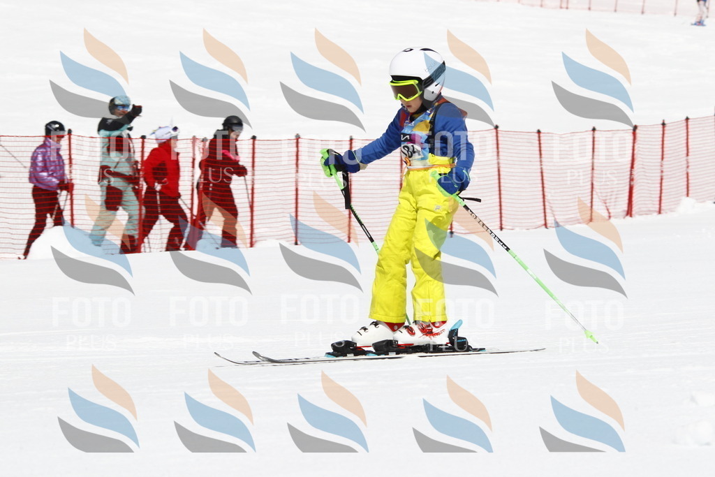 _U3G4843 | holidayphoto