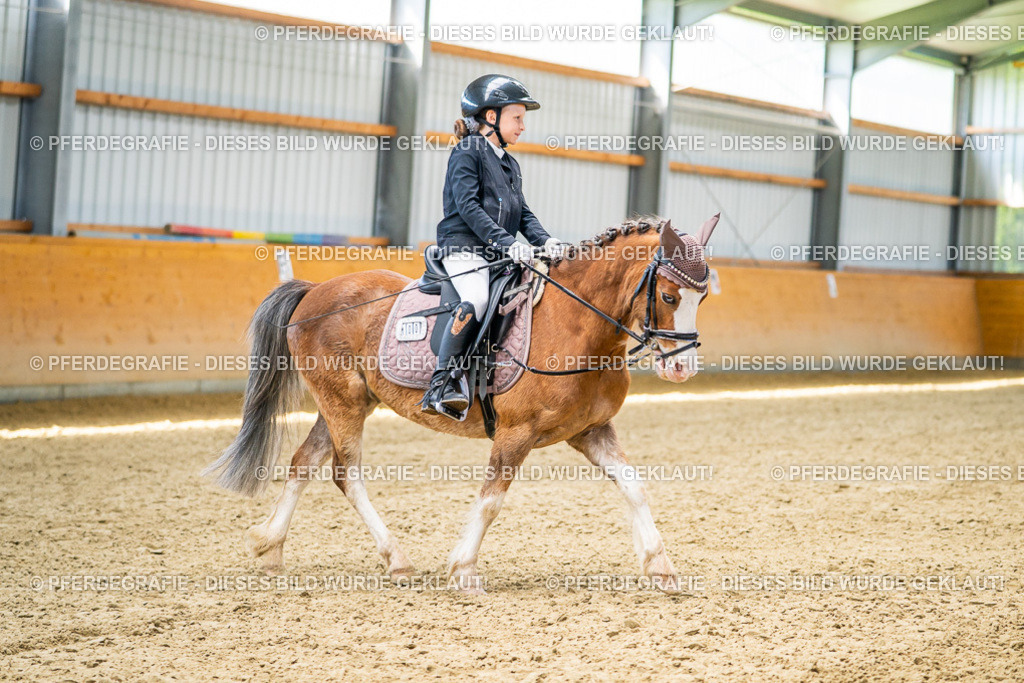 DSC02873 | Pferdegrafie