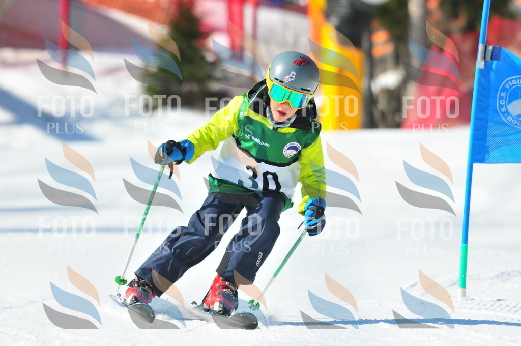 C2626 | holidayphoto